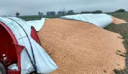 Imagen de noticias en portada 